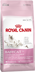 royal2 Canin Babycat